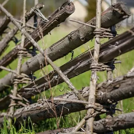 Dom wakacyjny Holmiranna Homes *