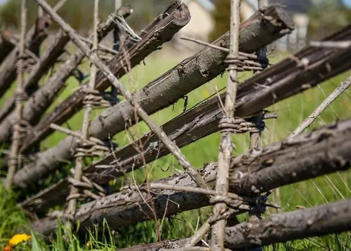 بيت للعطل Holmiranna Homes *